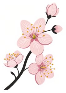 cherry flower clipart 11