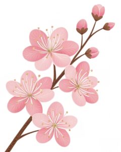 cherry flower clipart 12 1