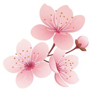 cherry flower clipart 6