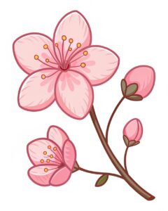 cherry flower clipart 9 1