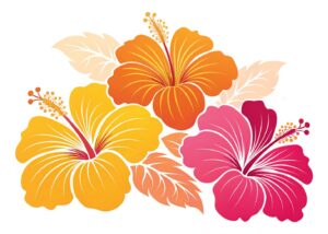 hawaiian flower clipart 13