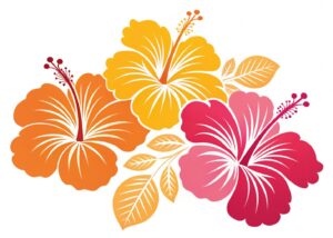 hawaiian flower clipart 14