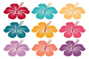 hawaiian flower clipart 8