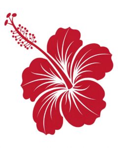 hibiscus flower clipart 1 1
