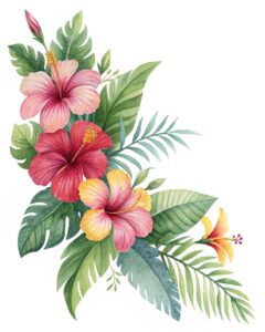 hibiscus flower clipart 1 2