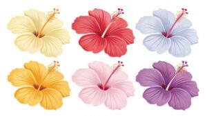hibiscus flower clipart 10 2