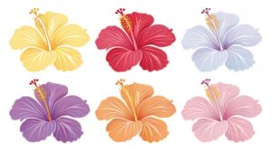 hibiscus flower clipart 11 2