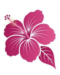 hibiscus flower clipart 12 2
