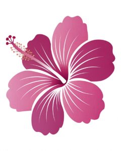 hibiscus flower clipart 13 2