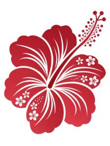hibiscus flower clipart 15 1