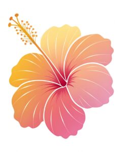 hibiscus flower clipart 6 1