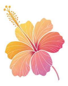 hibiscus flower clipart 7 1