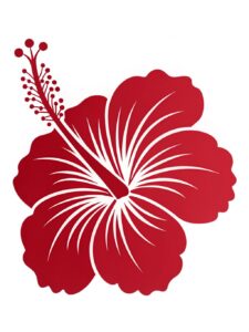 hibiscus flower clipart 9 2