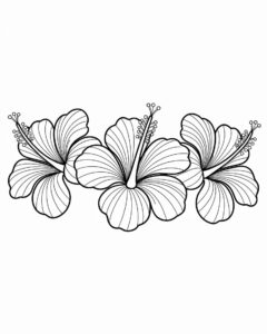 hibiscus flower clipart black and white 3
