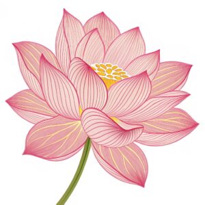 lotus flower clipart 6