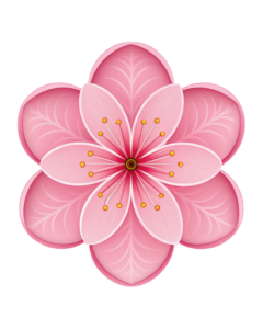 transparent background pink flower clipart 1