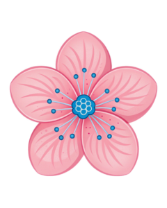 transparent background pink flower clipart 11