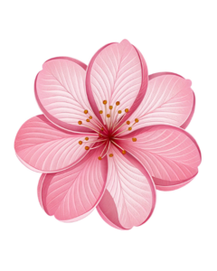 transparent background pink flower clipart 2