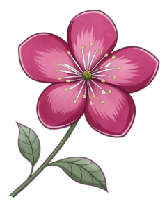 transparent background pink flower clipart 4