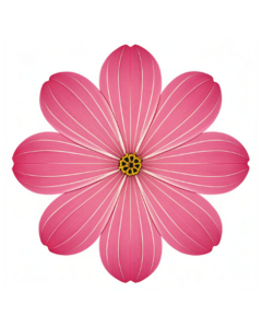 transparent background pink flower clipart 6