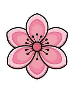 transparent background pink flower clipart 9