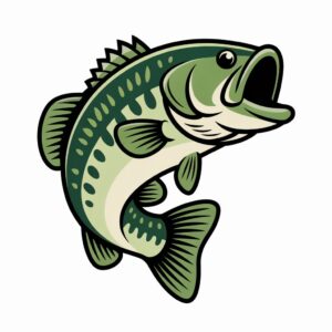 bass fish clipart 11