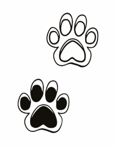 dog paw clipart 15