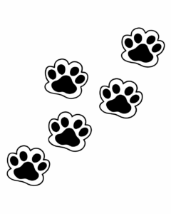 dog paw print clipart 11