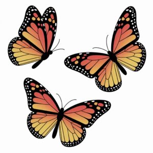 monarch butterfly clipart 13