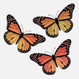 monarch butterfly clipart 14