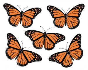 monarch butterfly clipart 16