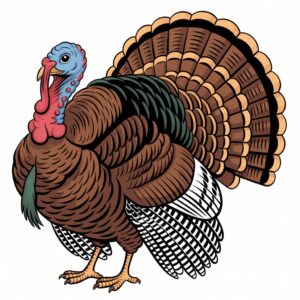 thanksgiving turkey clipart free 11
